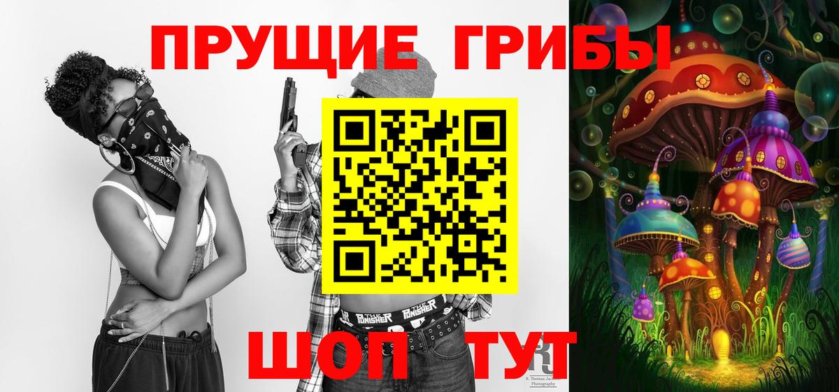 Псилоцибиновые грибы прущие грибы Нальчик