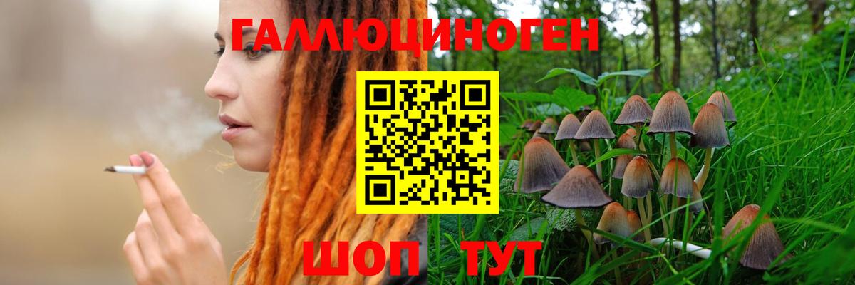 Псилоцибиновые грибы Magic Shrooms  Вход с VPN  где продают наркотики  Галлюциногенные грибы Psilocybine cubensis  Нальчик 